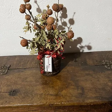 Casa Tia Modesta Es Calida Y Acogedora Casa *