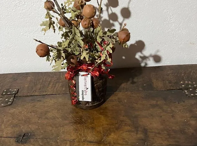 Casa Tia Modesta Es Calida Y Acogedora Casa *